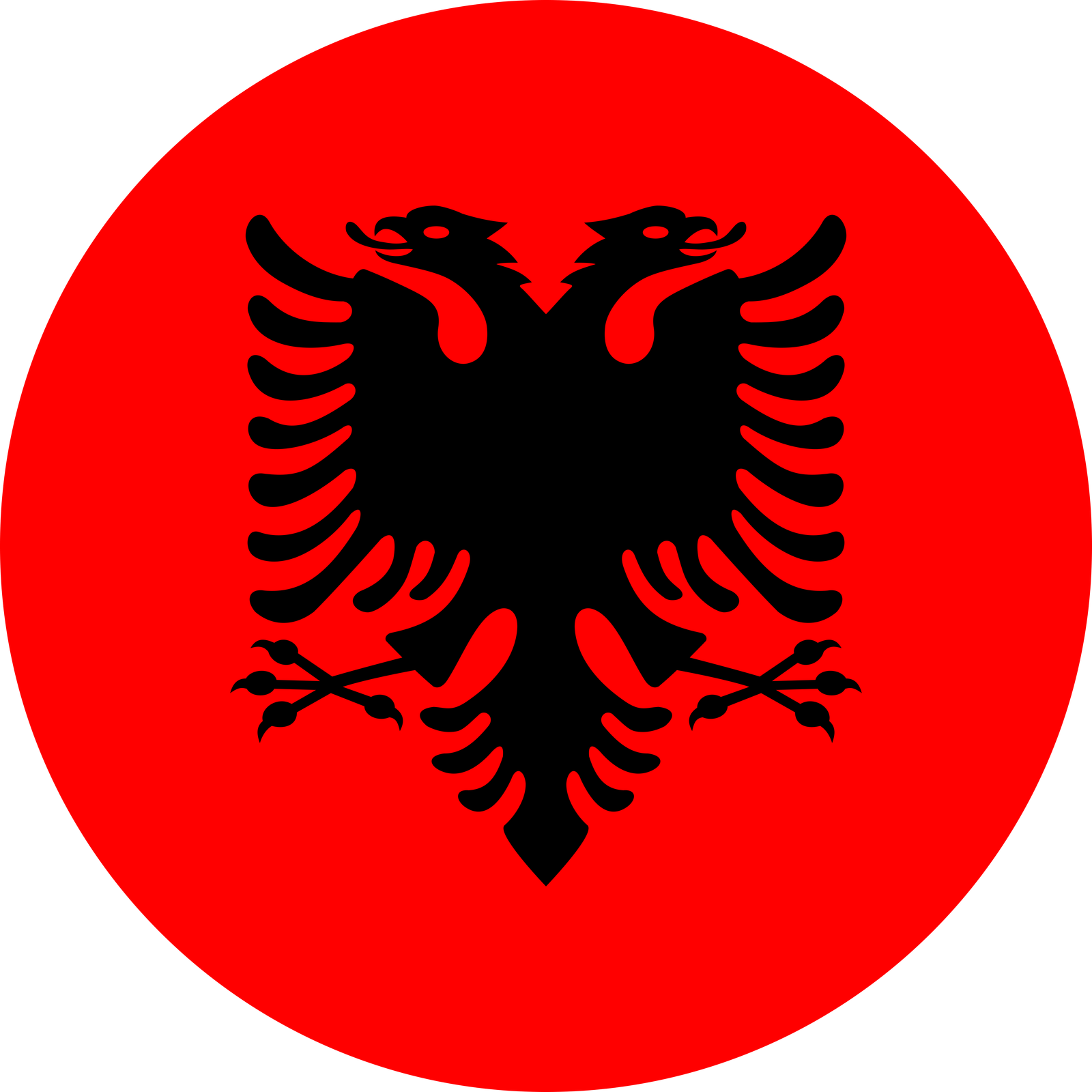 Flag of Albania